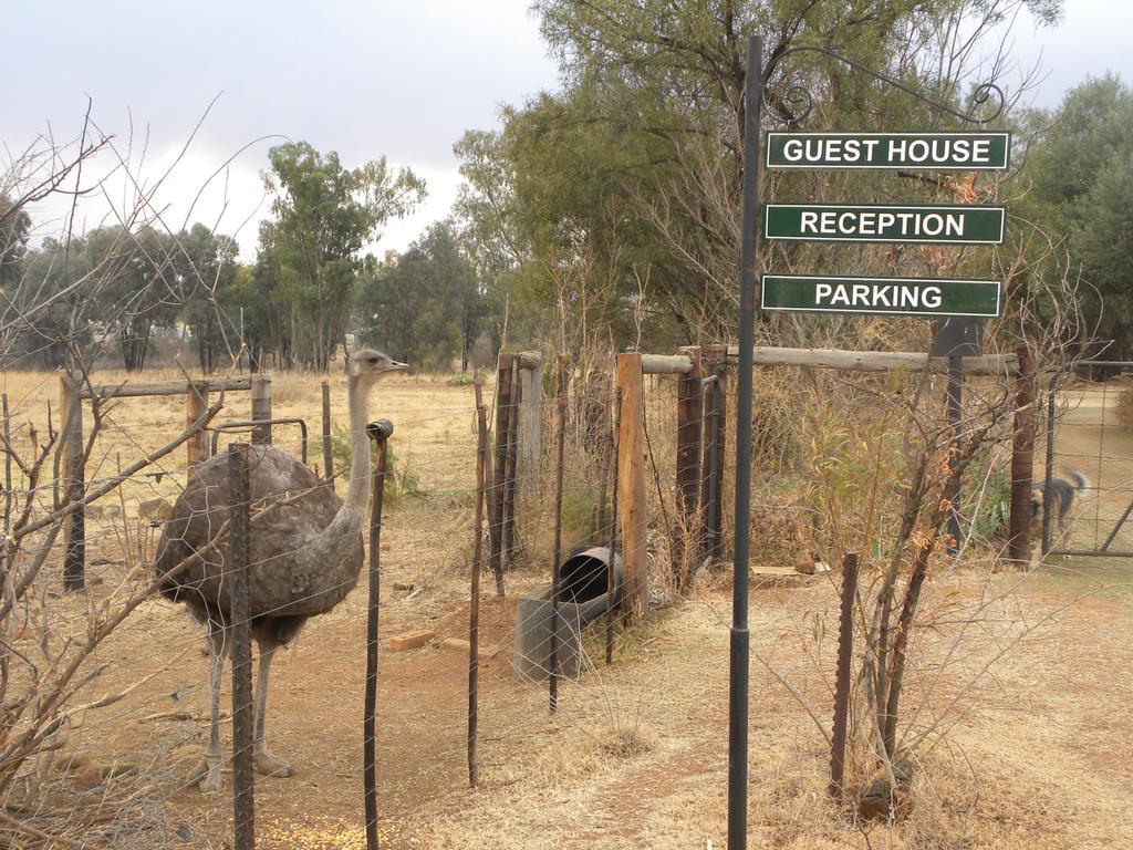 Olive Hill Country Lodge Bloemfontein Exterior photo